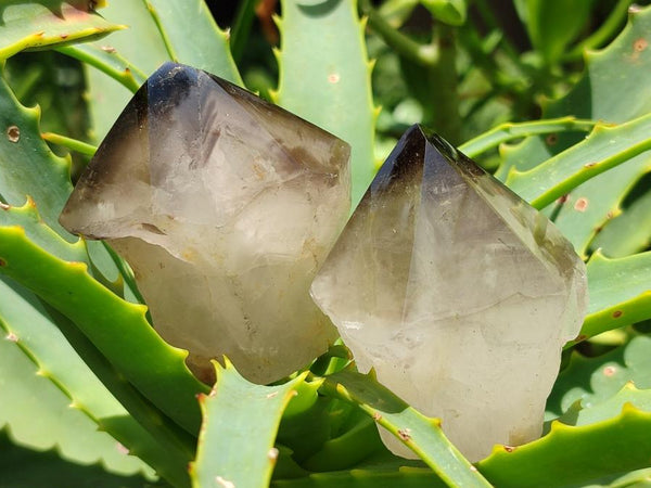 Polished Smokey Quartz Crystal Terminations x 20 From Madagascar