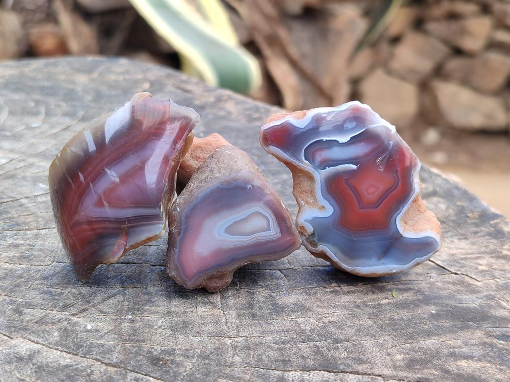 Polished Red Shashe River Agate Nodules x 48 From Shashe River, Zimbabwe