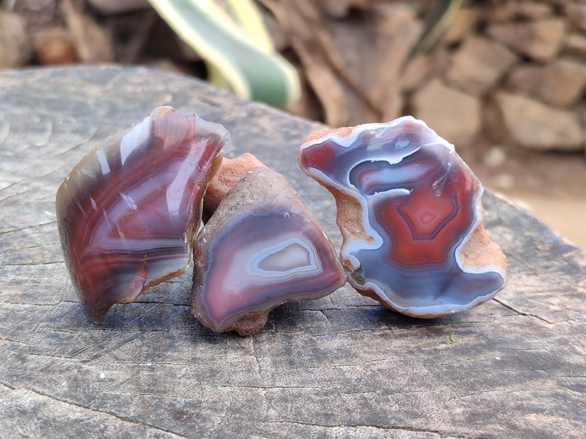 Polished Red Shashe River Agate Nodules x 48 From Shashe River, Zimbabwe