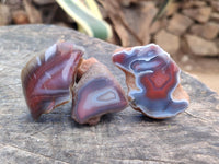 Polished Red Shashe River Agate Nodules x 48 From Shashe River, Zimbabwe