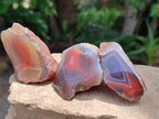 Polished Red Shashe River Agate Nodules x 48 From Shashe River, Zimbabwe