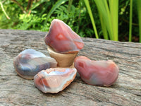 Polished Red Shashe River Agate Nodules x 48 From Shashe River, Zimbabwe