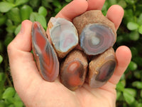 Polished Red Shashe River Agate Nodules x 48 From Shashe River, Zimbabwe
