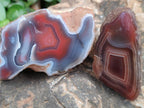 Polished Red Shashe River Agate Nodules x 48 From Shashe River, Zimbabwe
