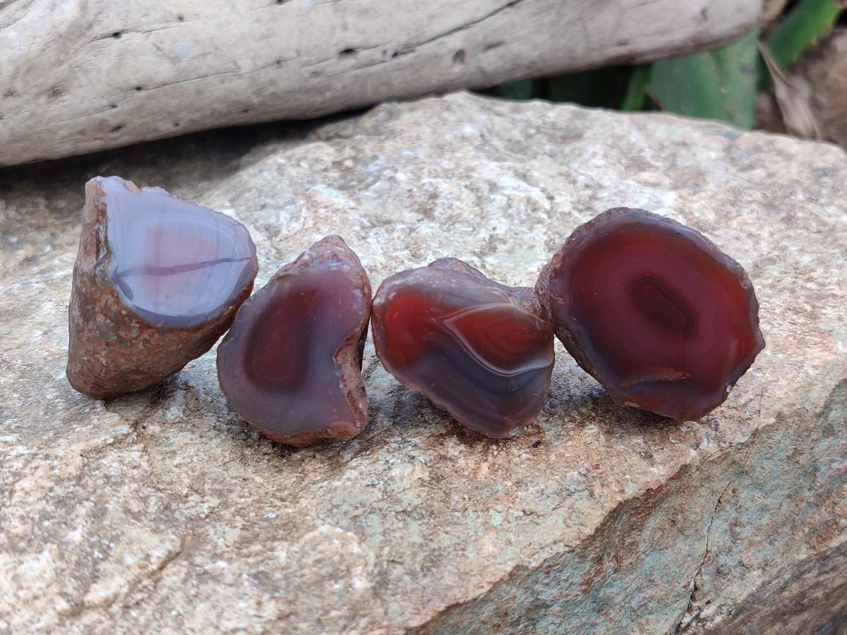 Polished Red Shashe River Agate Nodules x 48 From Shashe River, Zimbabwe