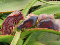 Polished Red Shashe River Agate Nodules x 48 From Shashe River, Zimbabwe