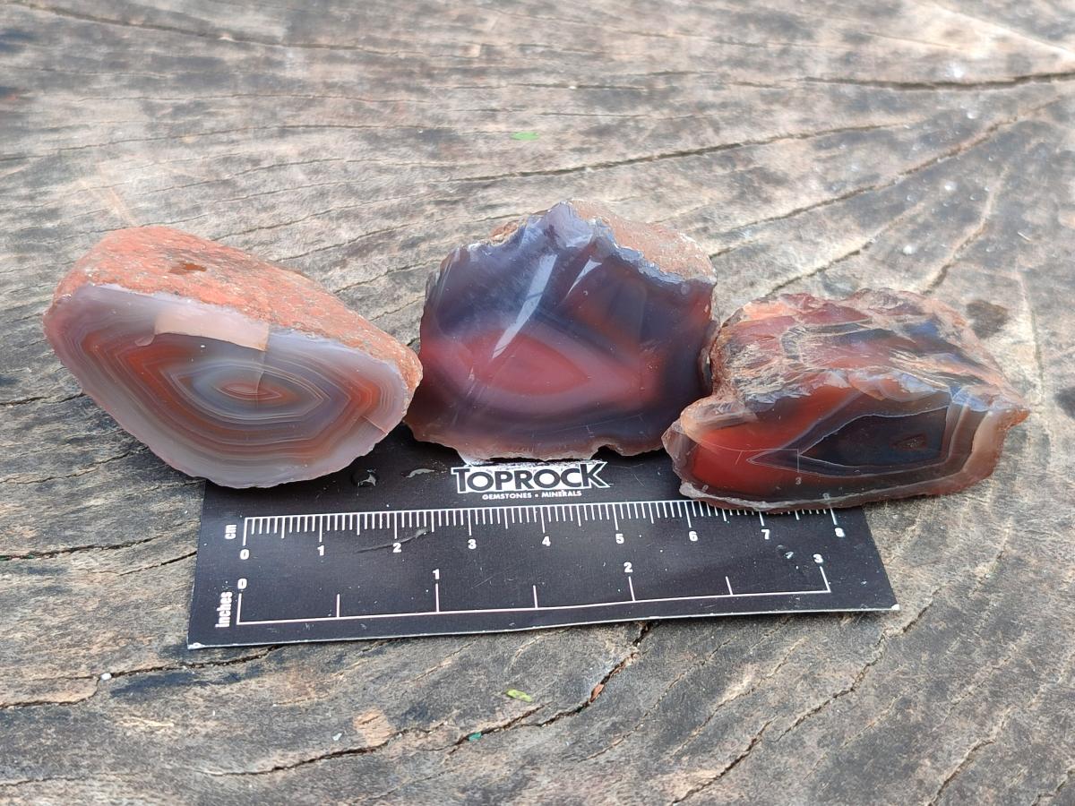 Polished Red Shashe River Agate Nodules x 48 From Shashe River, Zimbabwe
