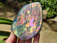 Polished Rare Purple Sunset Flash Labradorite Standing Free Forms x 4 From Madagascar
