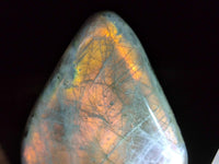 Polished Rare Purple Sunset Flash Labradorite Standing Free Forms x 4 From Madagascar