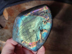 Polished Rare Purple Sunset Flash Labradorite Standing Free Forms x 4 From Madagascar