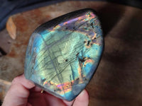 Polished Rare Purple Sunset Flash Labradorite Standing Free Forms x 4 From Madagascar