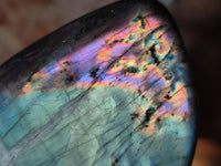 Polished Rare Purple Sunset Flash Labradorite Standing Free Forms x 4 From Madagascar