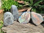 Polished Rare Purple Sunset Flash Labradorite Standing Free Forms x 4 From Madagascar