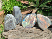 Polished Rare Purple Sunset Flash Labradorite Standing Free Forms x 4 From Madagascar