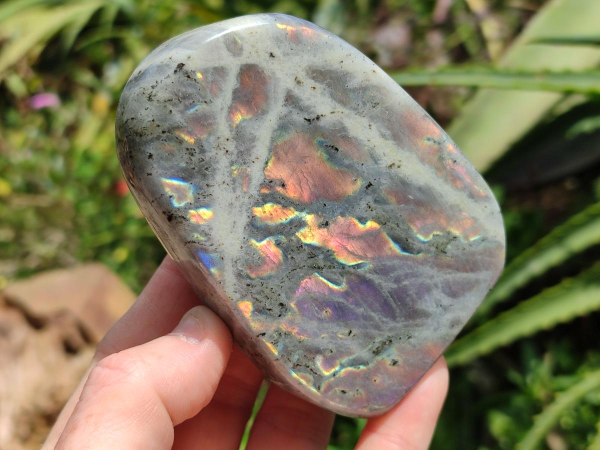 Polished Rare Purple Sunset Flash Labradorite Standing Free Forms x 4 From Madagascar