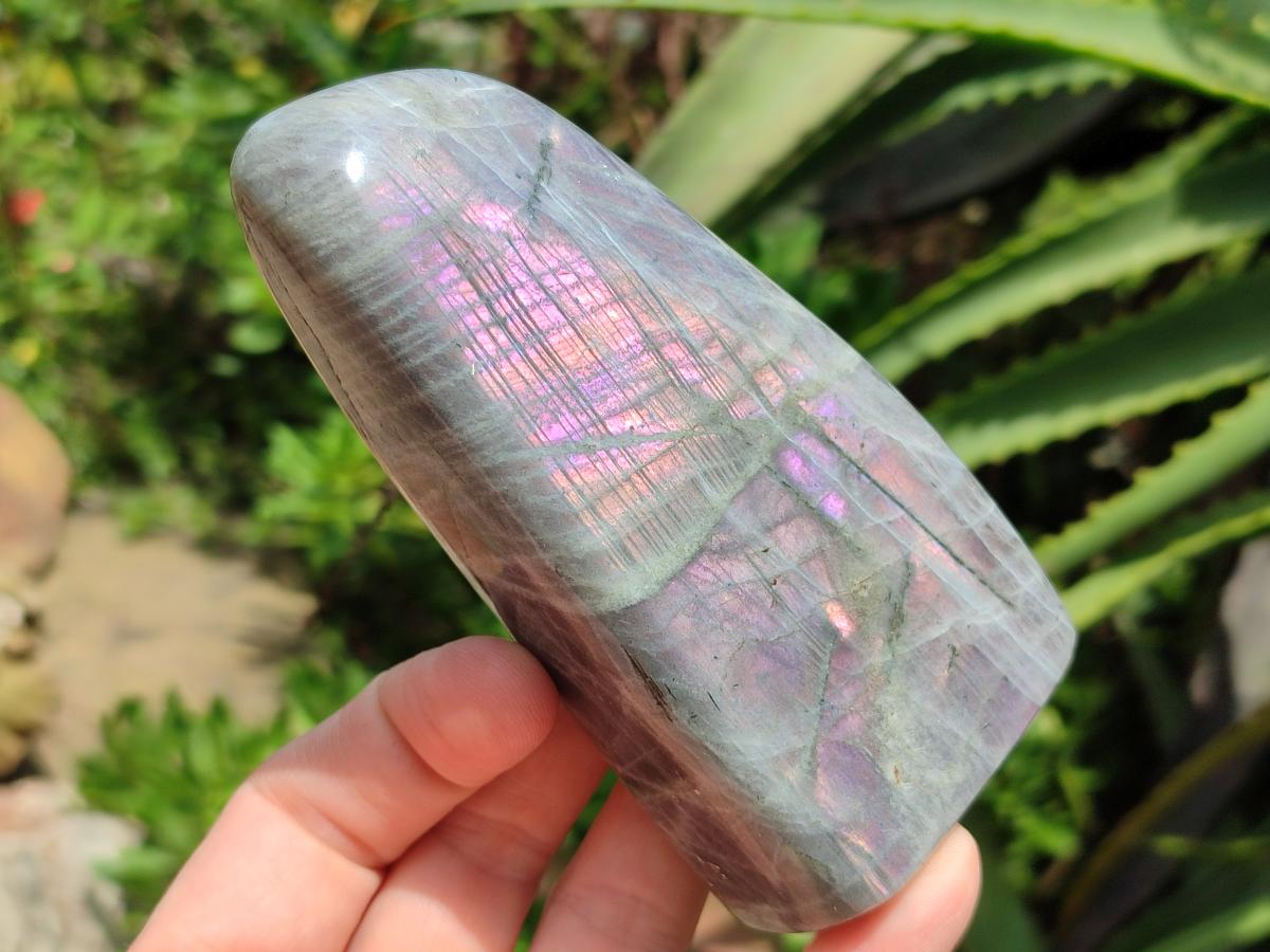 Polished Rare Purple Sunset Flash Labradorite Standing Free Forms x 4 From Madagascar
