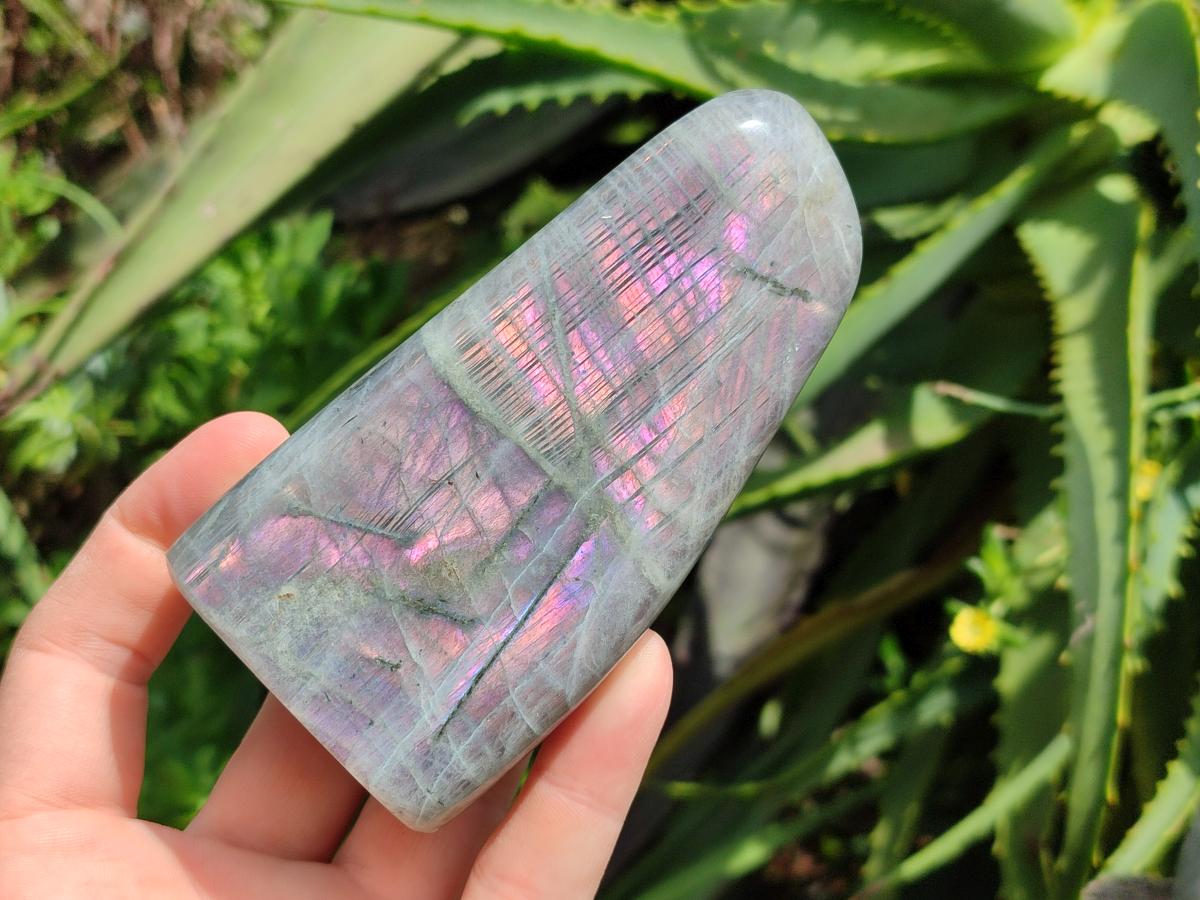 Polished Rare Purple Sunset Flash Labradorite Standing Free Forms x 4 From Madagascar