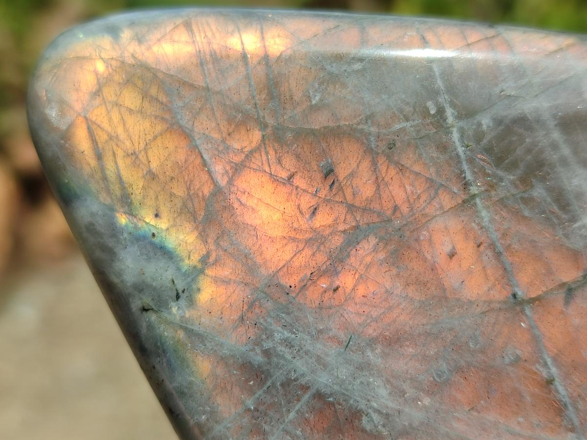 Polished Rare Purple Sunset Flash Labradorite Standing Free Forms x 4 From Madagascar