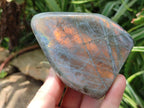Polished Rare Purple Sunset Flash Labradorite Standing Free Forms x 4 From Madagascar