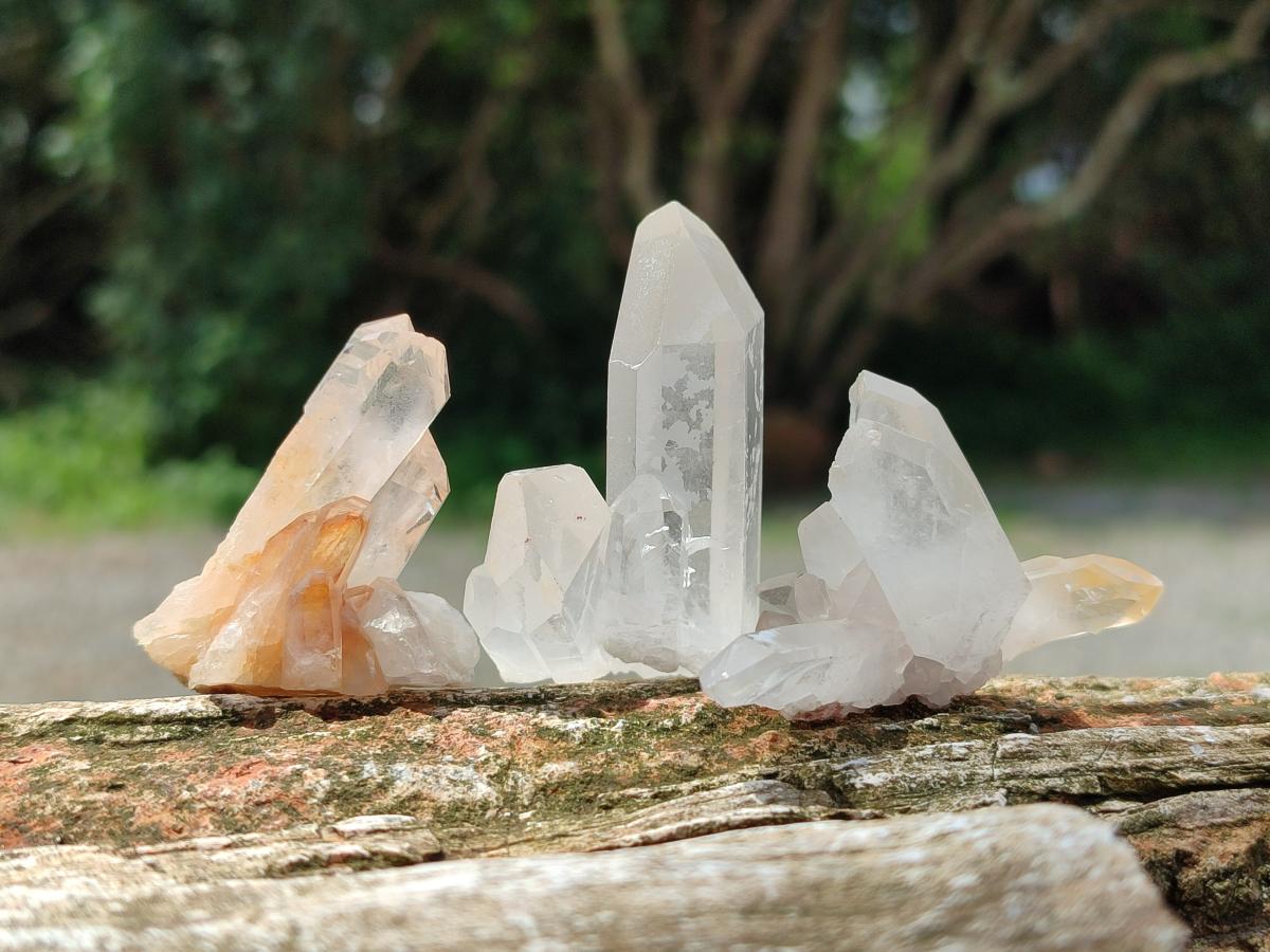 Natural Clear Quartz Clusters x 35 From Madagascar