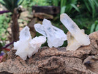 Natural Clear Quartz Clusters x 35 From Madagascar