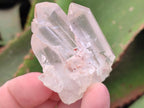 Natural Clear Quartz Clusters x 35 From Madagascar