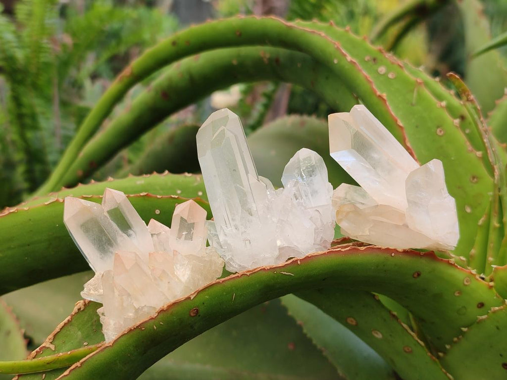 Natural Clear Quartz Clusters x 35 From Madagascar