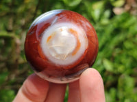 Polished Mini Carnelian Agate Gemstone Spheres x 8 From Madagascar