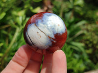 Polished Mini Carnelian Agate Gemstone Spheres x 8 From Madagascar