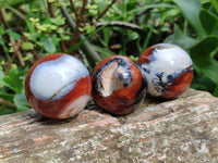 Polished Mini Carnelian Agate Gemstone Spheres x 8 From Madagascar