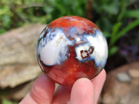 Polished Mini Carnelian Agate Gemstone Spheres x 8 From Madagascar