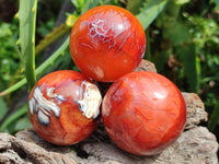 Polished Mini Carnelian Agate Gemstone Spheres x 8 From Madagascar
