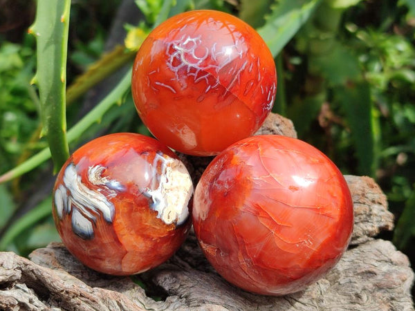 Polished Mini Carnelian Agate Gemstone Spheres x 8 From Madagascar