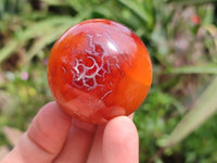 Polished Mini Carnelian Agate Gemstone Spheres x 8 From Madagascar