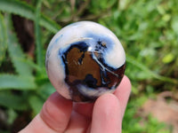 Polished Mini Carnelian Agate Gemstone Spheres x 8 From Madagascar