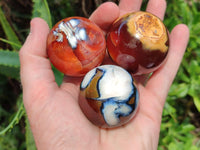 Polished Mini Carnelian Agate Gemstone Spheres x 8 From Madagascar