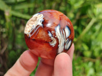 Polished Mini Carnelian Agate Gemstone Spheres x 8 From Madagascar