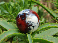 Polished Mini Carnelian Agate Gemstone Spheres x 8 From Madagascar