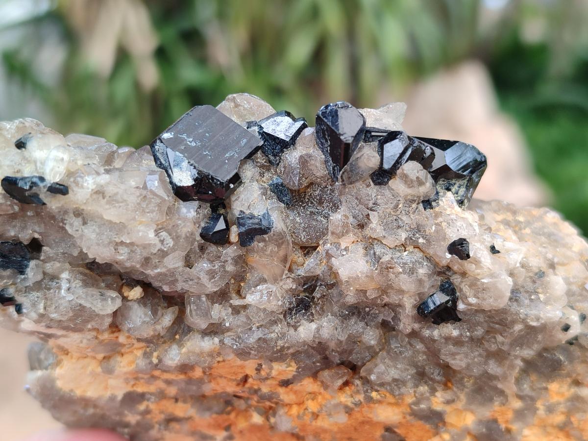 Natural Schorl Black Tourmaline Specimens x 6 From Erongo, Namibia