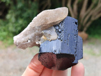 Natural Schorl Black Tourmaline Specimens x 6 From Erongo, Namibia