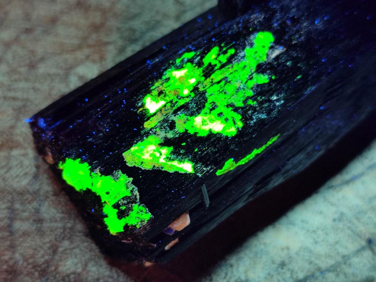 Natural Schorl Black Tourmaline Specimens x 6 From Erongo, Namibia