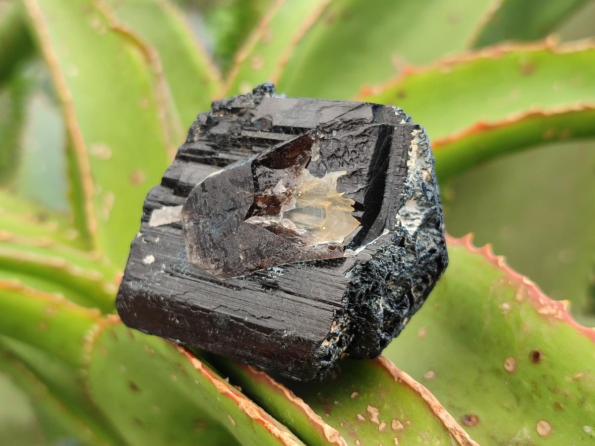 Natural Schorl Black Tourmaline Specimens x 6 From Erongo, Namibia