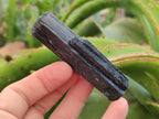 Natural Schorl Black Tourmaline Specimens x 6 From Erongo, Namibia