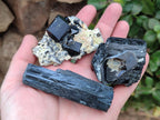 Natural Schorl Black Tourmaline Specimens x 6 From Erongo, Namibia