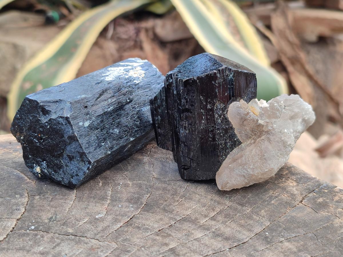 Natural Schorl Black Tourmaline Specimens x 6 From Erongo, Namibia