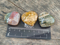 Polished Ocean Jasper Hearts x 12 From Northwest Coast, Madagascar
