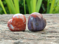 Polished Ocean Jasper Hearts x 12 From Northwest Coast, Madagascar