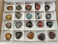 Polished Ocean Jasper Hearts x 12 From Northwest Coast, Madagascar