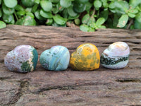 Polished Ocean Jasper Hearts x 12 From Northwest Coast, Madagascar