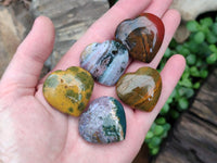 Polished Ocean Jasper Hearts x 12 From Northwest Coast, Madagascar